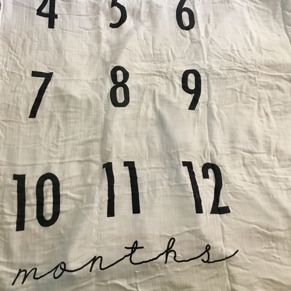 Infant months or pregnancy photo blanket NWOT